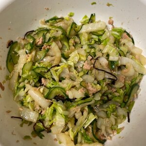 白菜レシピ　白菜とツナの塩昆布和え